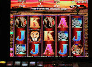 AG手机版客户端安装版最新版